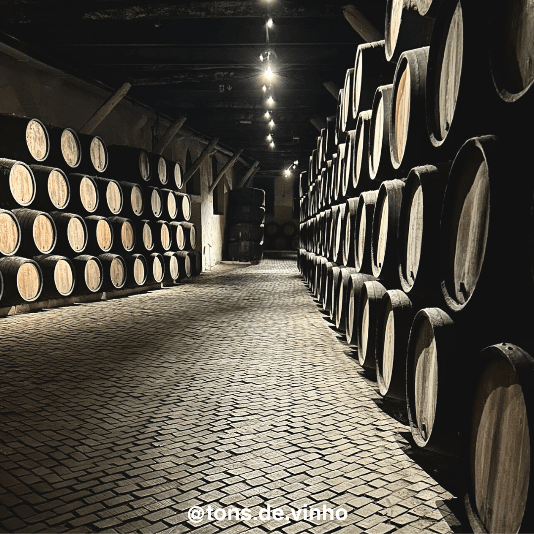 Lívia Belfort com garrafas de Vinho do Porto ao fundo